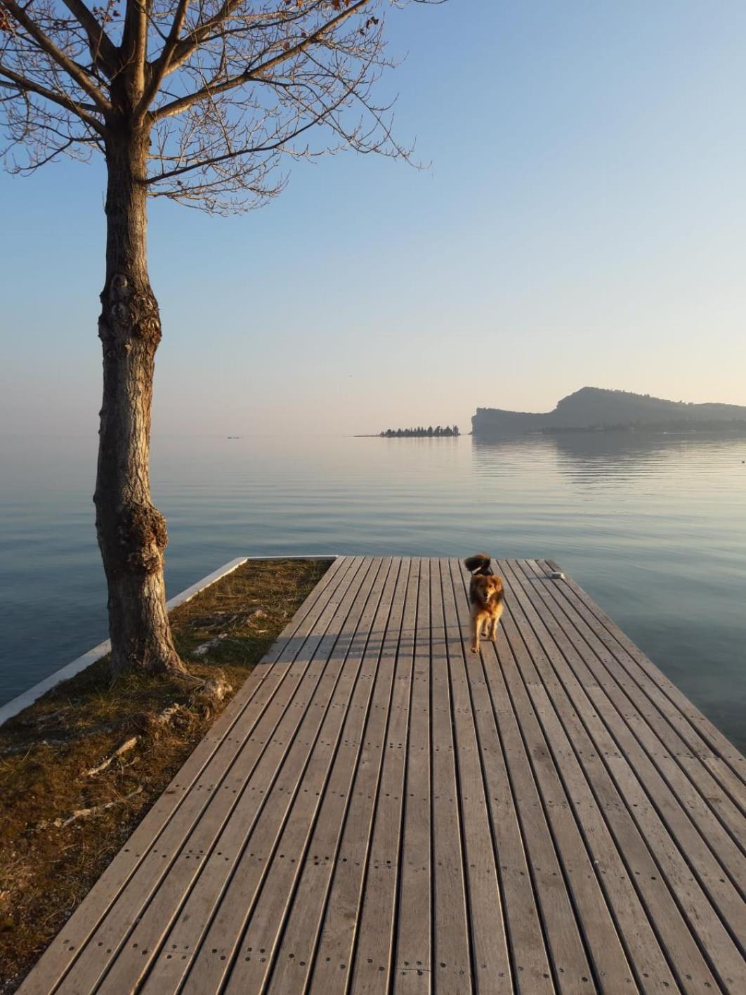 Casa Vacanze Gardiolina San Felice del Benaco Esterno foto